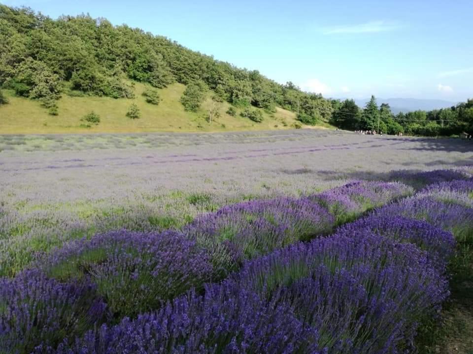 B&B I Girasoli Monte San Pietro Exterior foto